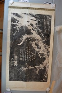 Image description is not available for DU1971.501